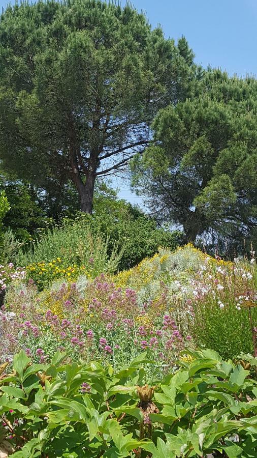 Au Calme Chez L'Habitant Foulayronnes Buitenkant foto